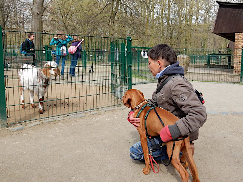 Begegnung im Zoo