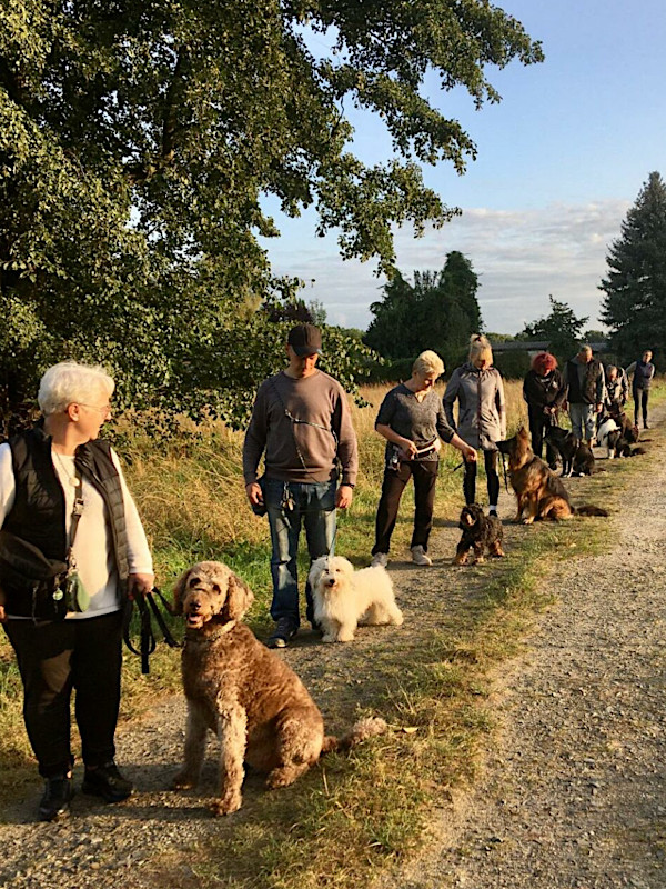 Gruppe von Hundehaltern beim Training