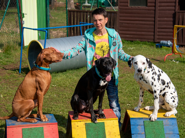 Hundetrainerin Steffi Vent-Schmidt mit Maja, Pino und Pepe
